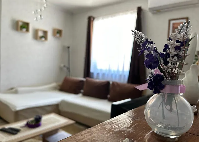 Levendula Vendeghaz Balatonföldvár